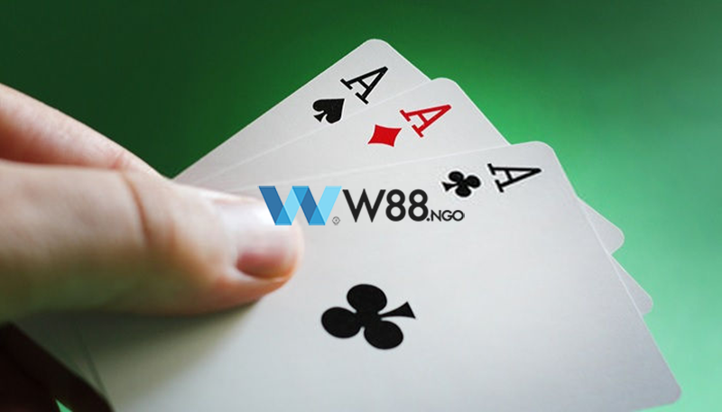 bai-cao-w88