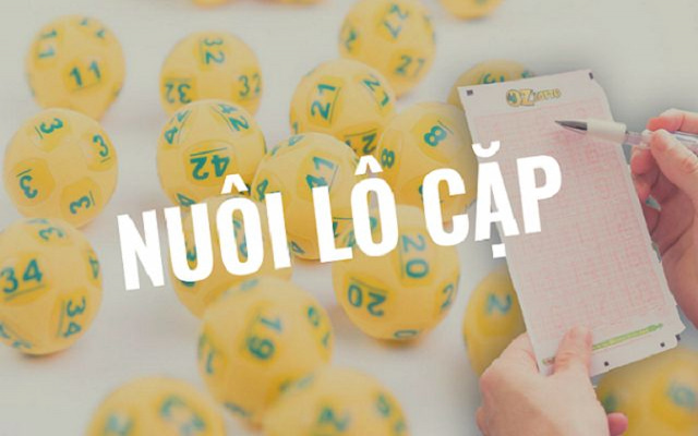 Cách Chơi Lô Đề Hiệu Quả Nhất Giúp "Thắng Bội Tiền" 9 Đầu tư nuôi lô cặp
