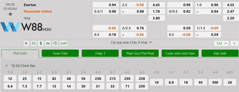 nhan-dinh-tran-everton-vs-newcastle-tai-w88-ngo-2