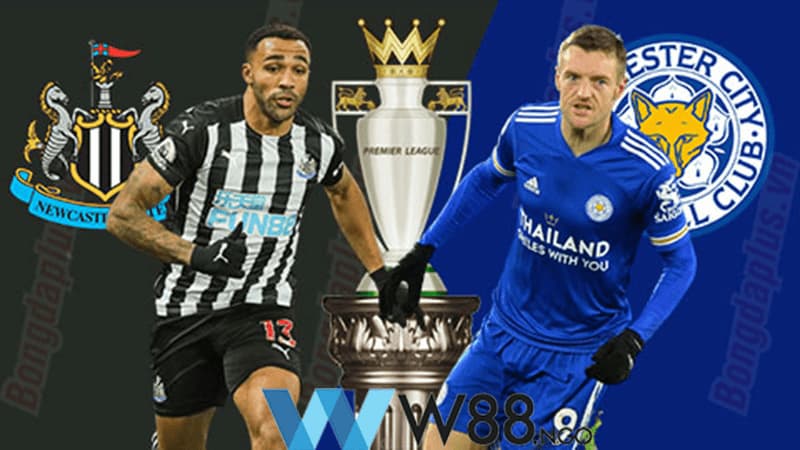 Nhận định trận đấu giữa Newcastle vs Leicester tại vòng 37 giải Ngoại Hạng Anh