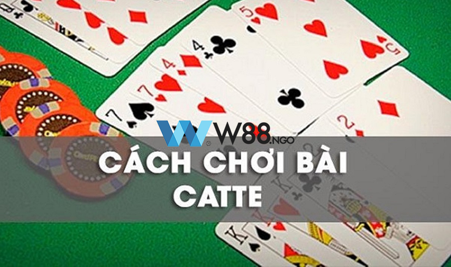 bai-catte-online-la-gi