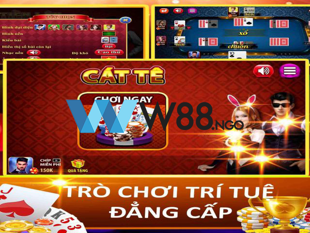 cach-choi-bai-catte-online-la-gi
