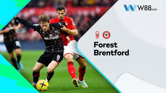 soi-keo-nottingham-vs-brentford-w88