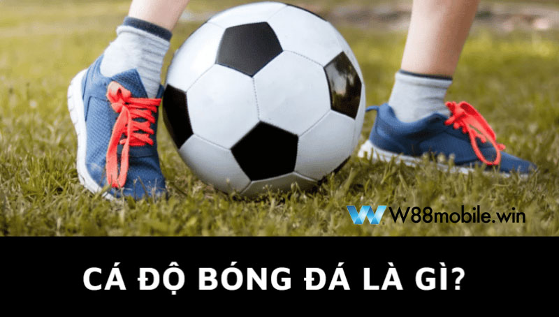 Hướng Dẫn Tham Gia Cá Cược Bóng Đá Trực Tuyến Chuẩn Cho Người Mới 6 Giải đáp cá cược bóng đá là gì