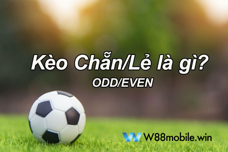 Kèo Chẵn Lẻ Là Gì? Cách Bắt Kèo Chẵn Lẻ Người Mới Không Thể Bỏ Qua 5 Kèo chẵn lẻ là gì?