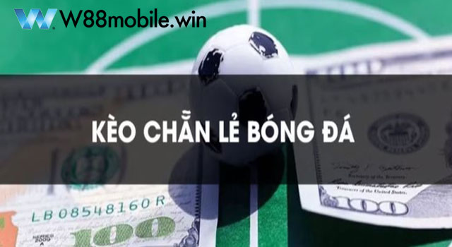 Kèo Chẵn Lẻ Là Gì? Cách Bắt Kèo Chẵn Lẻ Người Mới Không Thể Bỏ Qua 7 Bí quyết cược chẵn lẻ bóng đá