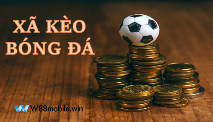 Xả Kèo Là Gì? Cách Xả Kèo Bóng Đá Hiệu Quả Giảm Rủi Ro Tại W88 7 Lưu ý không thể bỏ qua cho người mới