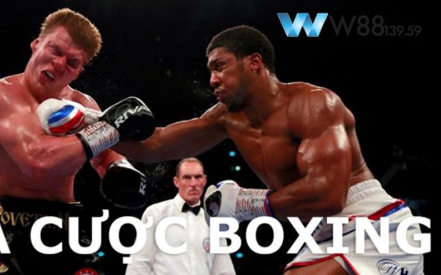 Cá Cược Boxing: Làm Chủ Sàn Đấu Quyền Anh Với 5 Chiến Lược Vàng 5 Cá Cược Boxing là gì?