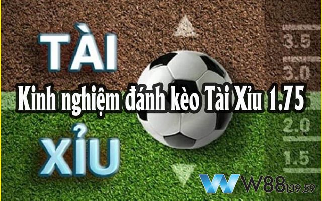 Chiến Lược Ăn Đậm Với Kèo Tài Xỉu 1 3/4: Bí Kíp Của Dân Chơi 7 Lưu ý khi đặt cược
