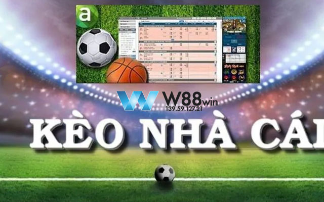 Chia Sẻ Cách Đọc Kèo Nhà Cái Cực Chuẩn Kiếm Tiền Cực Ngon Tại W88 7 Chi tiết về kèo nhà cái W88