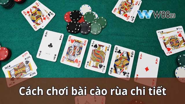Cẩm Nang Chơi Bài Cào Rùa: Bí Quyết Thắng Lớn Cho Newbie 5 Hướng dẫn cách chơi bài cào rùa
