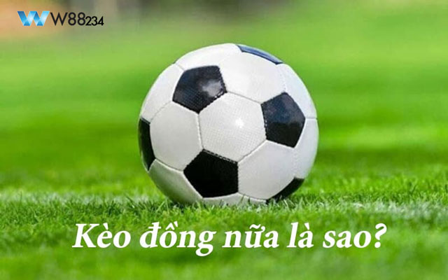 Phân Tích Kèo Đồng Nửa: Hướng Dẫn Đầy Đủ Từ A Đến Z Cho Người Mới 5 Giải đáp kèo đồng nửa là gì?