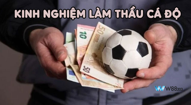 Thầu Bóng Đá: Cách Kiếm Tiền Triệu Mỗi Tháng Từ Đam Mê Bóng Đá 7 Kinh nghiệm hay khi làm thầu cá độ